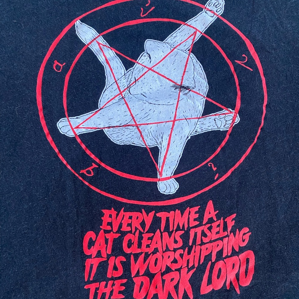 Wicked Clothes cat graphic tshirt